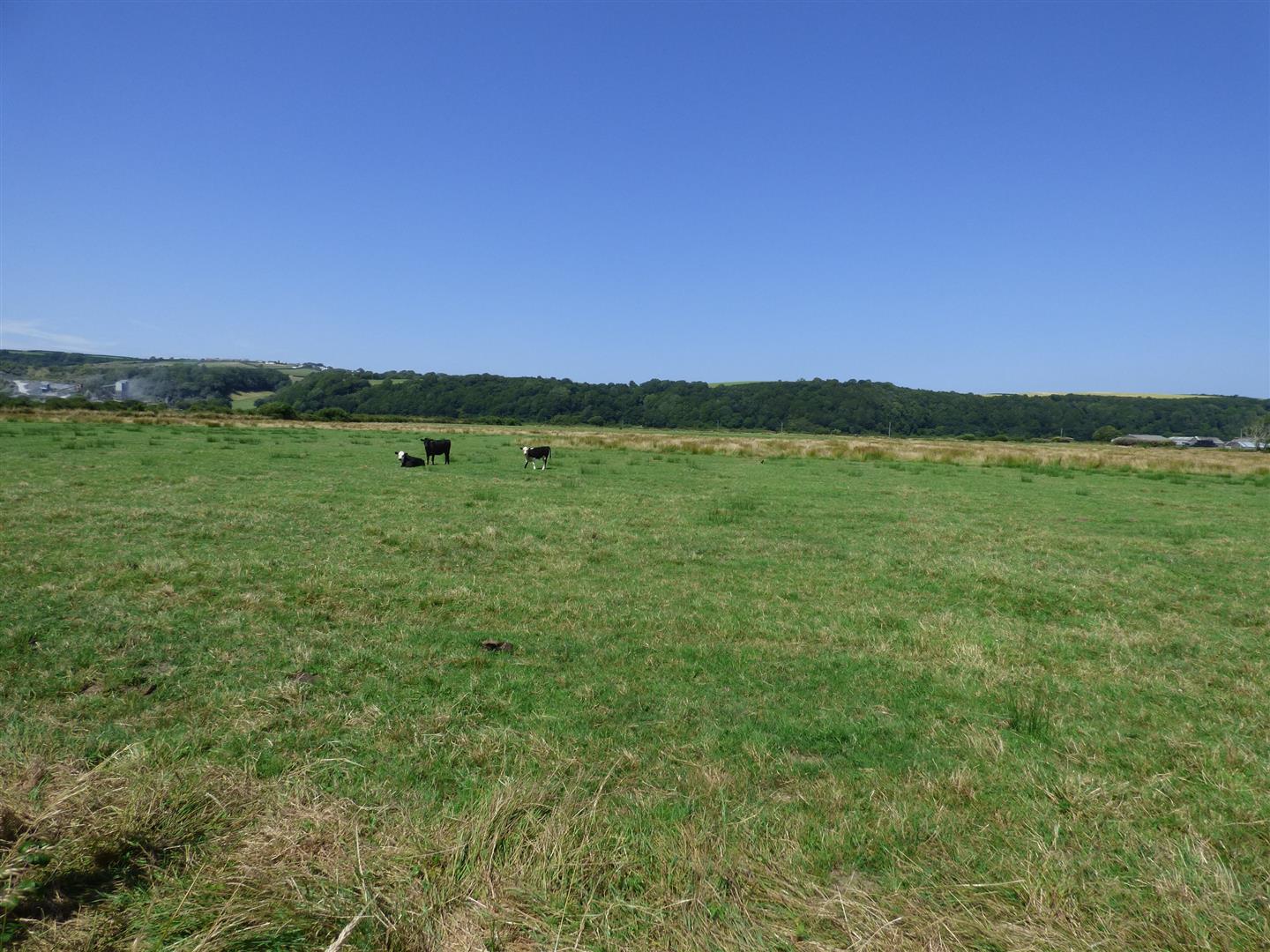 LOT 2
